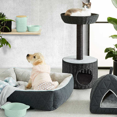 Pets Accessories