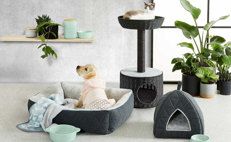 Pets Accessories
