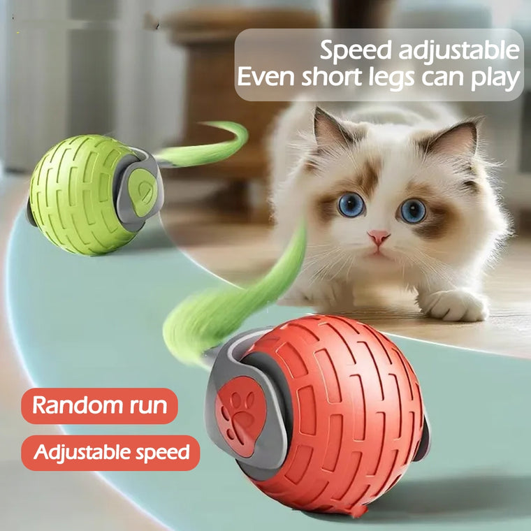 Smart Auto-Rolling Cat Toy Ball | Interactive Electric Teaser for Cats & Kittens