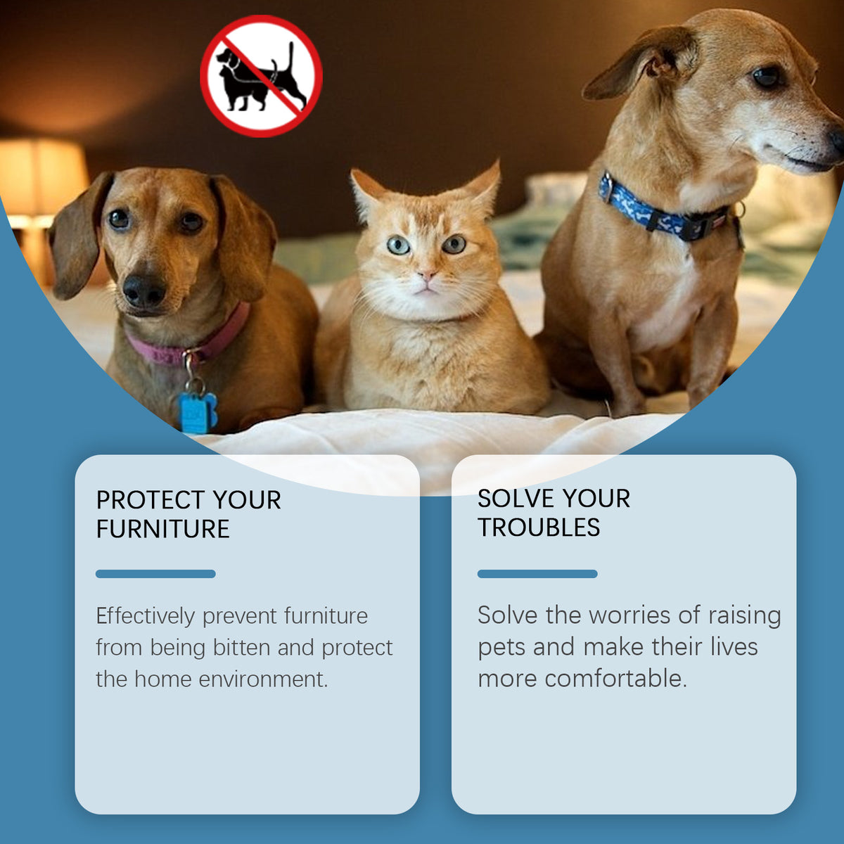 Pet anti-chew deterrent paste, view 7