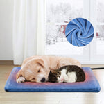 Blue waterproof pet heating pad with timer for dogs and cats