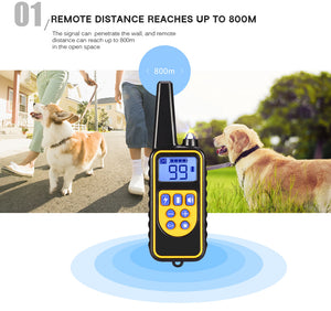 DogTrain® - Electric Dog Training Collar With Remote Controller