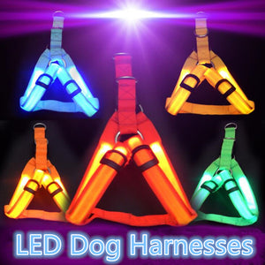 DogHarness® - Pet Safety LED Harness Dog Product Flashing Light