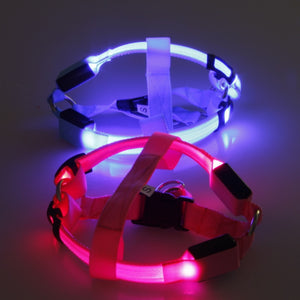 DogHarness® - Pet Safety LED Harness Dog Product Flashing Light